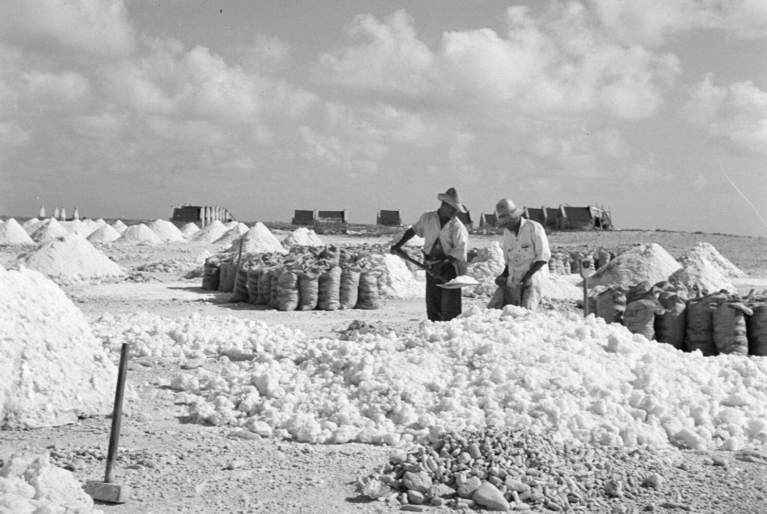 Historische foto: arbeiders vullen zakken met zout