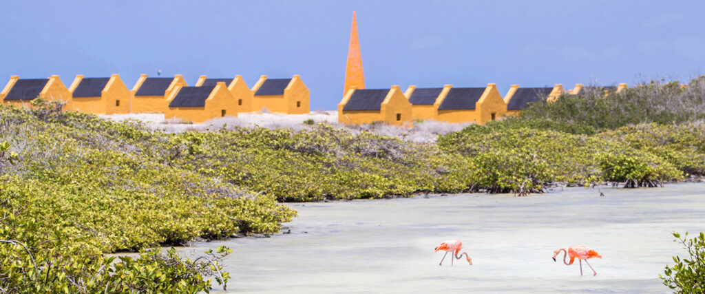 Voormalige slavenhuisjes op Bonaire met flamingo's