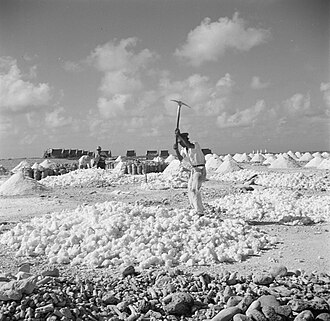 Historische foto: arbeider met pikhouweel in de zoutpannen
